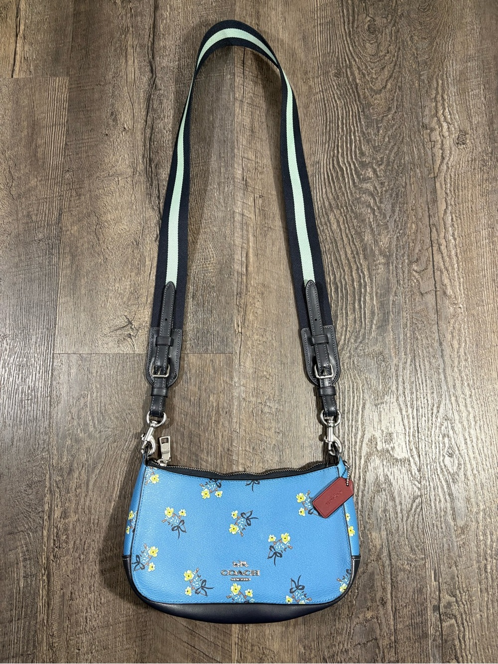 COACH Jes Baguette Crossbody Bag